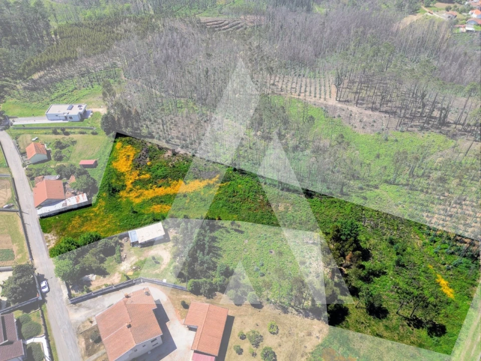 Terreno para Venda em Macinhata do Vouga Foto 3