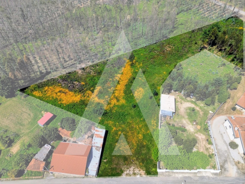 Terreno para Venda em Macinhata do Vouga Foto 4