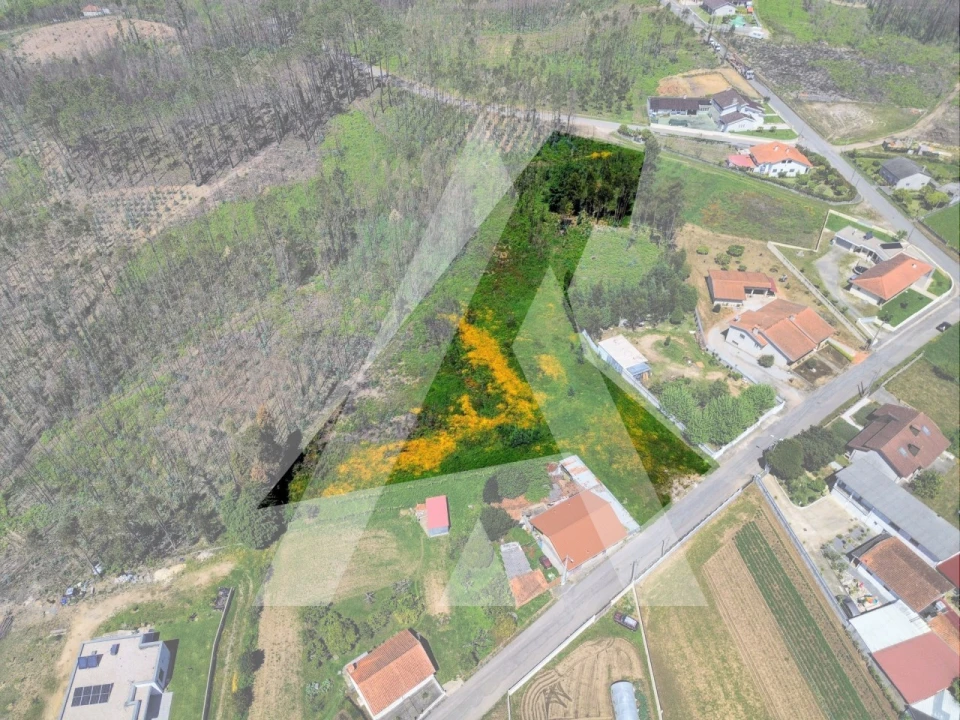 Terreno para Venda em Macinhata do Vouga Foto 16