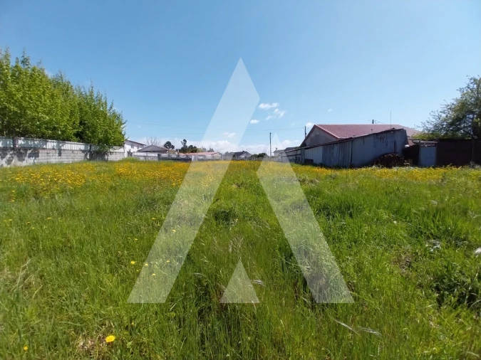 Terreno para Venda em Macinhata do Vouga Foto 8