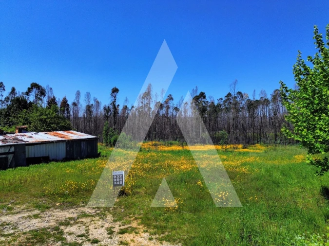 Terreno para Venda em Macinhata do Vouga Foto 2