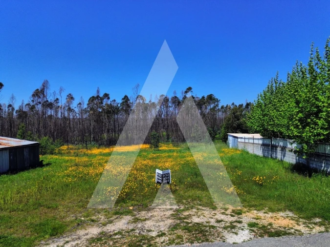 Terreno para Venda em Macinhata do Vouga