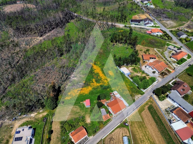 Terreno para Venda em Macinhata do Vouga Foto 5