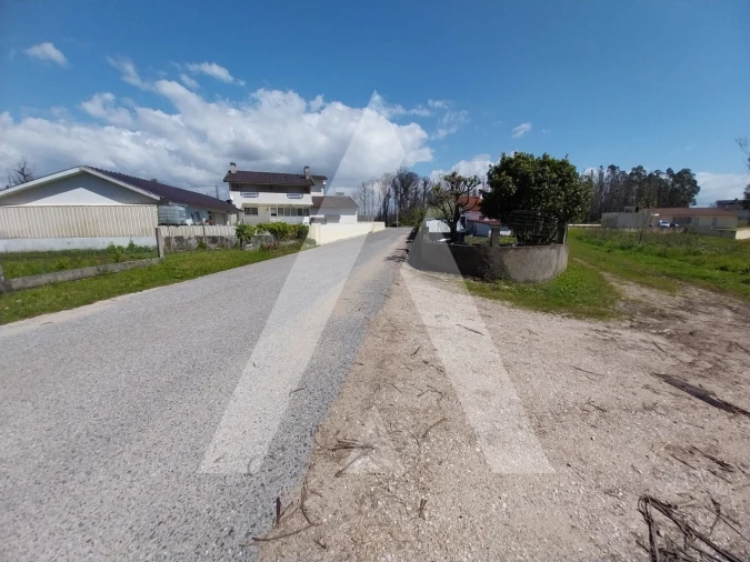 Terreno para Venda em Macinhata do Vouga Foto 11