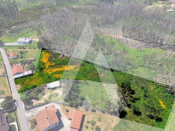 Terreno para Venda em Macinhata do Vouga Foto 3