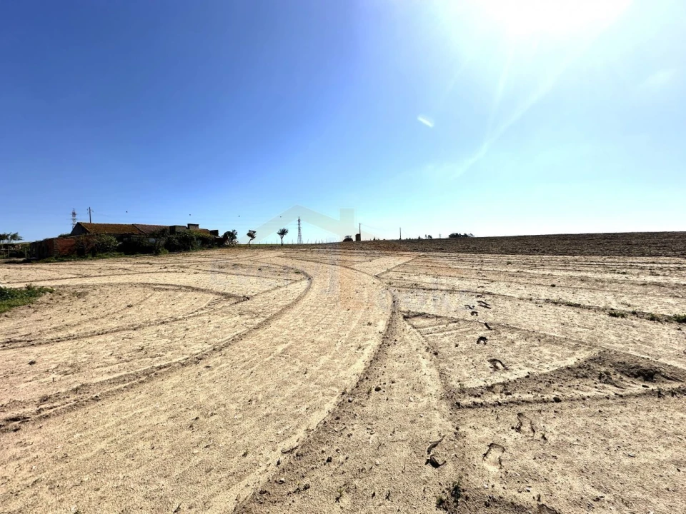 Terreno para Venda em Amoreira Foto 33