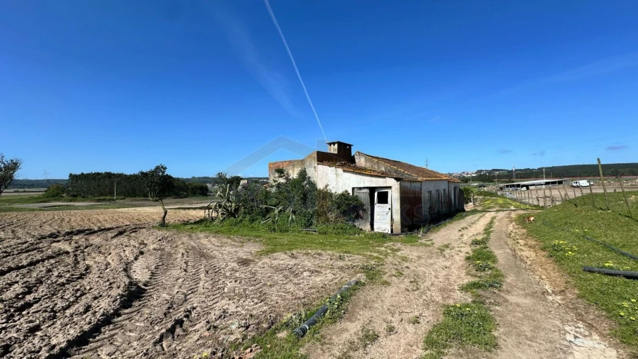 Terreno para Venda em Amoreira Foto 4