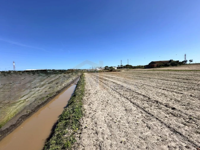 Terreno para Venda em Amoreira Foto 28