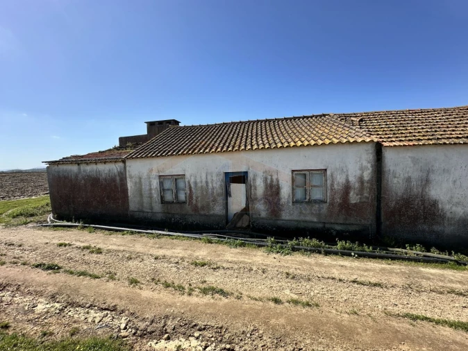 Terreno para Venda em Amoreira Foto 2