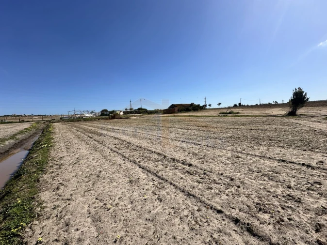 Terreno para Venda em Amoreira Foto 30