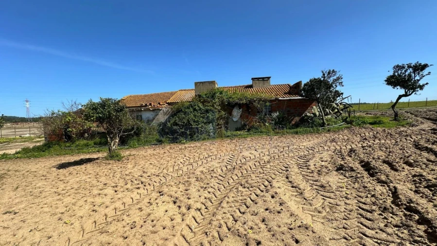 Terreno para Venda em Amoreira Foto 8