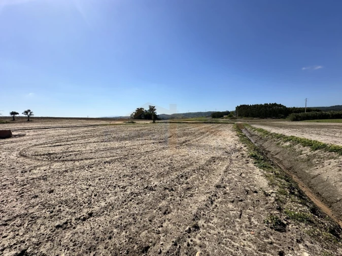 Terreno para Venda em Amoreira Foto 27