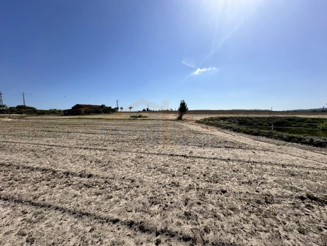 Terreno para Venda em Amoreira Foto 31