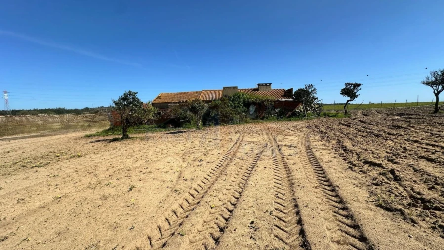 Terreno para Venda em Amoreira Foto 9