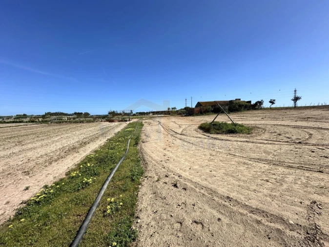 Terreno para Venda em Amoreira Foto 15