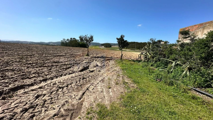 Terreno para Venda em Amoreira Foto 38