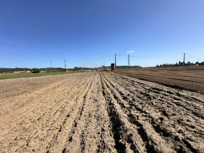 Terreno para Venda em Amoreira Foto 20