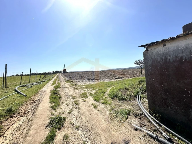 Terreno para Venda em Amoreira Foto 13