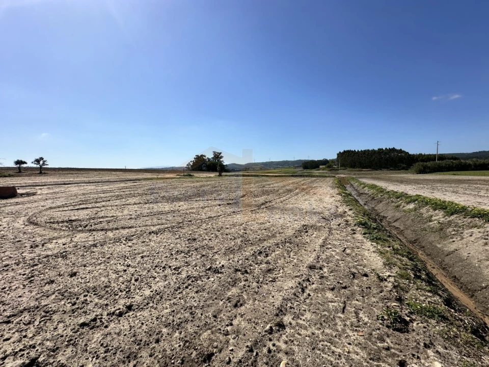 Terreno para Venda em Amoreira Foto 27