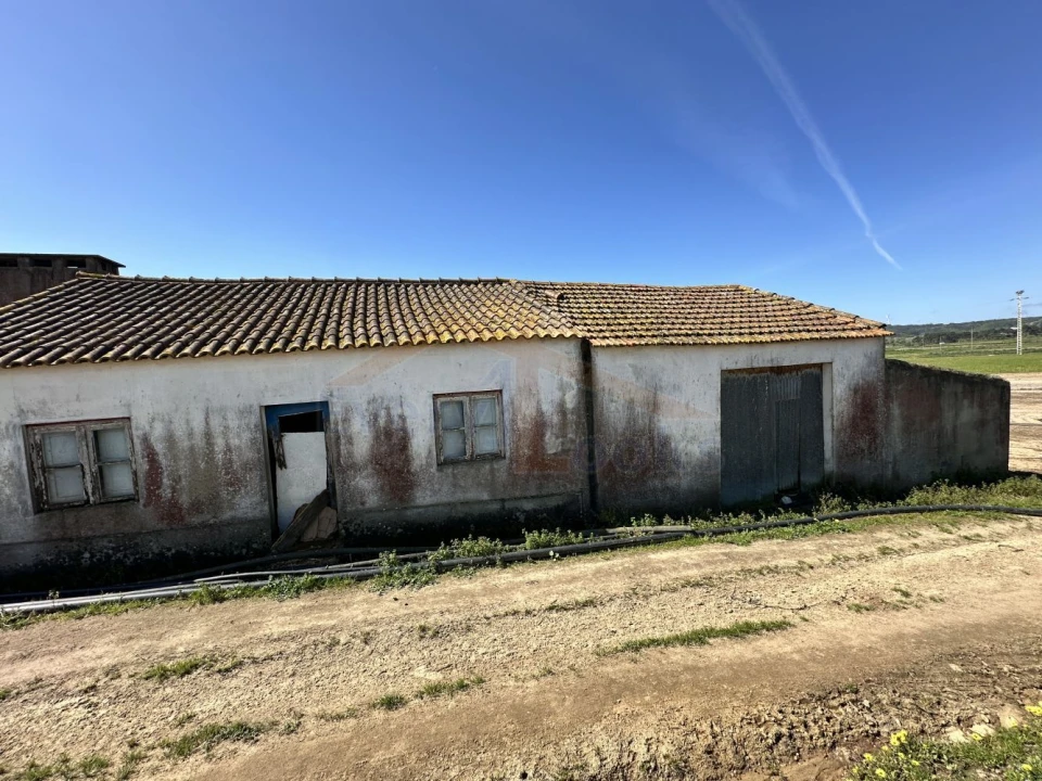 Terreno para Venda em Amoreira Foto 10