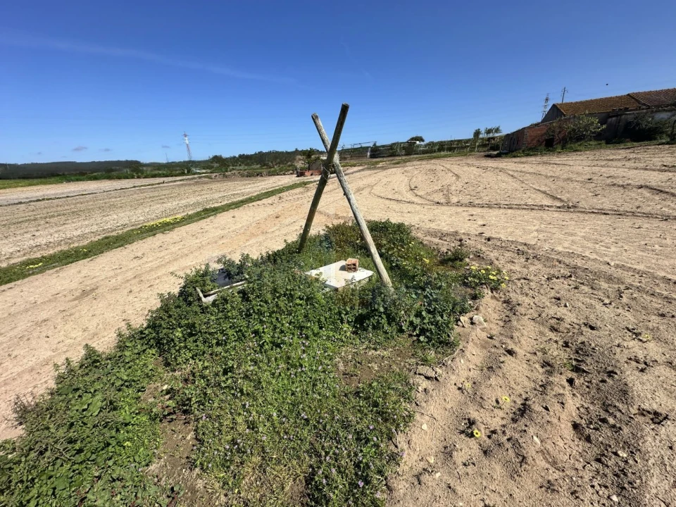 Terreno para Venda em Amoreira Foto 14