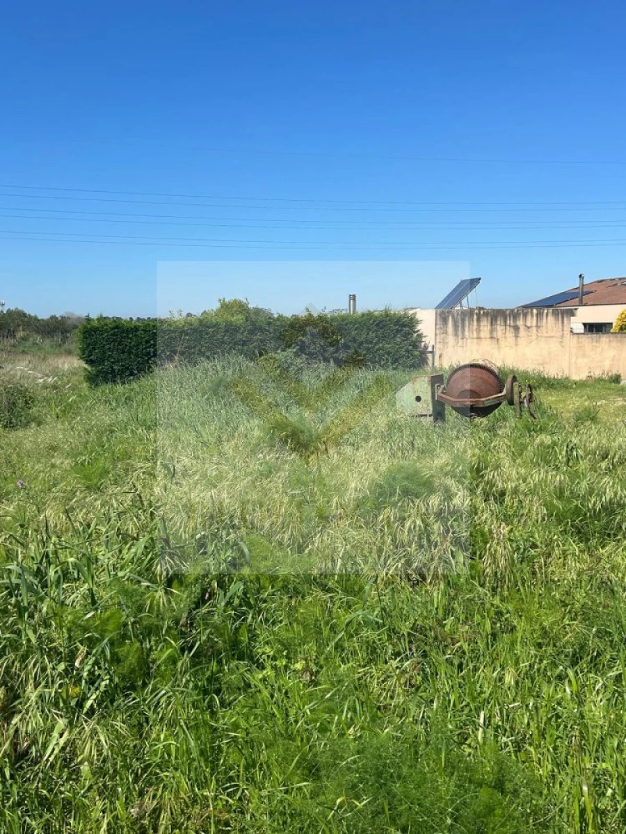 Terreno para Venda em Esmoriz
