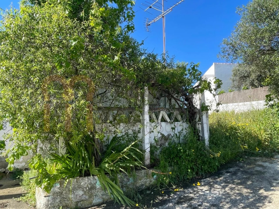 Moradia para Venda em Espirito Santo Foto 7