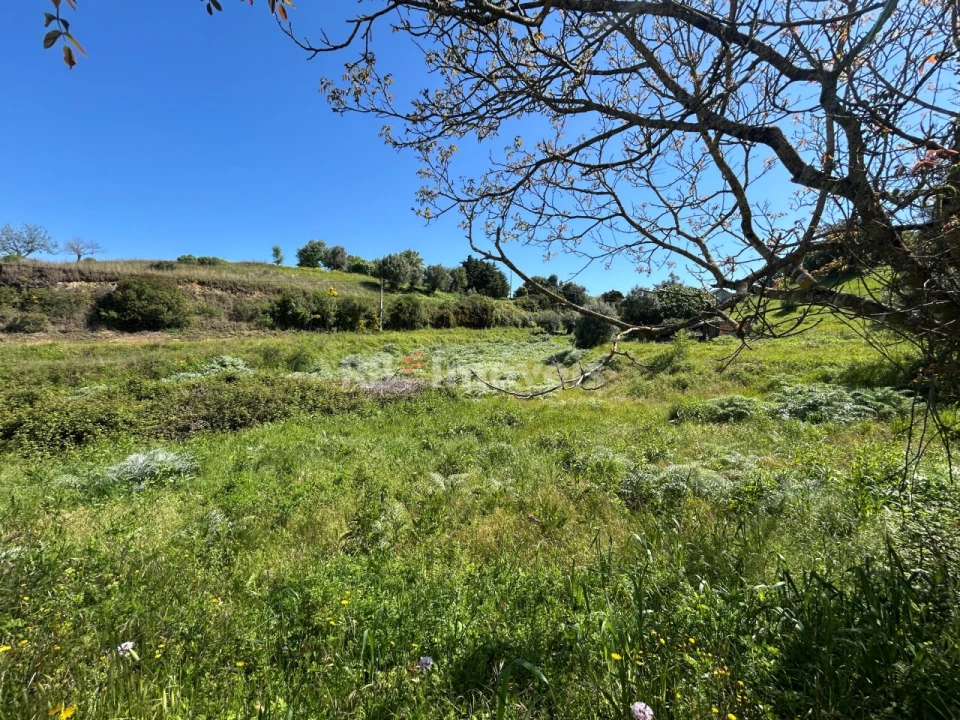 Terreno para Venda em Madalena e Beselga Foto 5