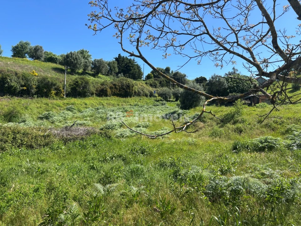 Terreno para Venda em Madalena e Beselga Foto 6