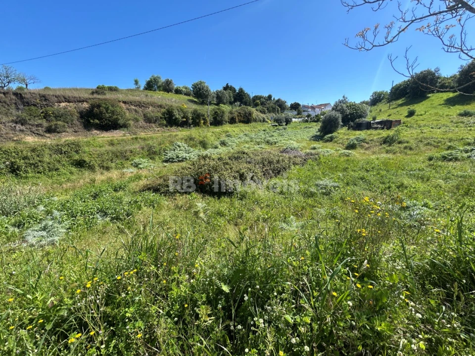 Terreno para Venda em Madalena e Beselga Foto 8