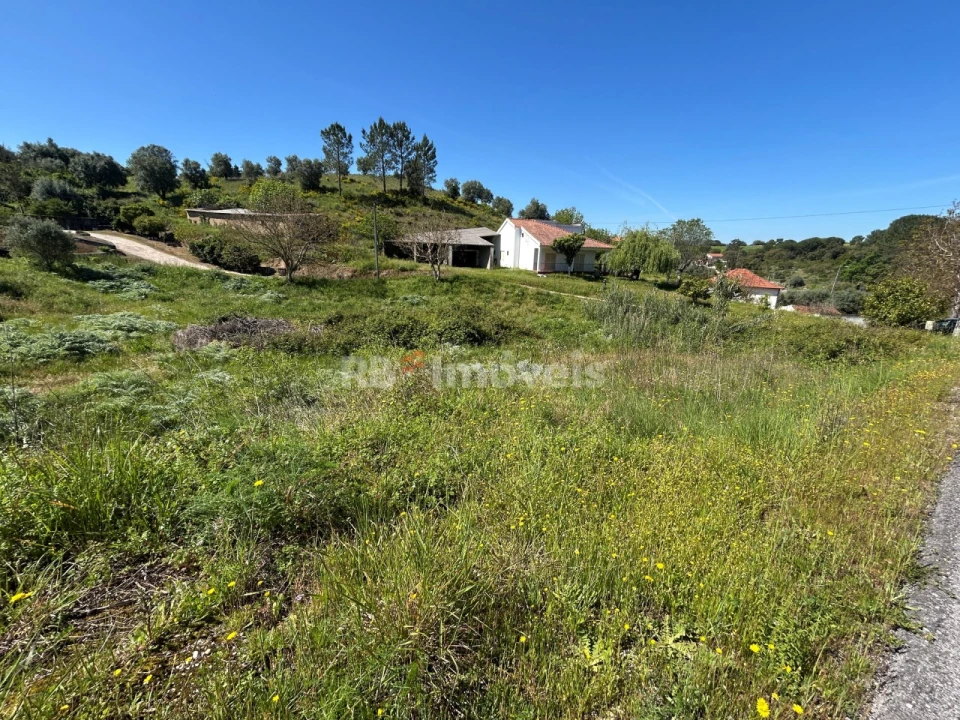Terreno para Venda em Madalena e Beselga Foto 14