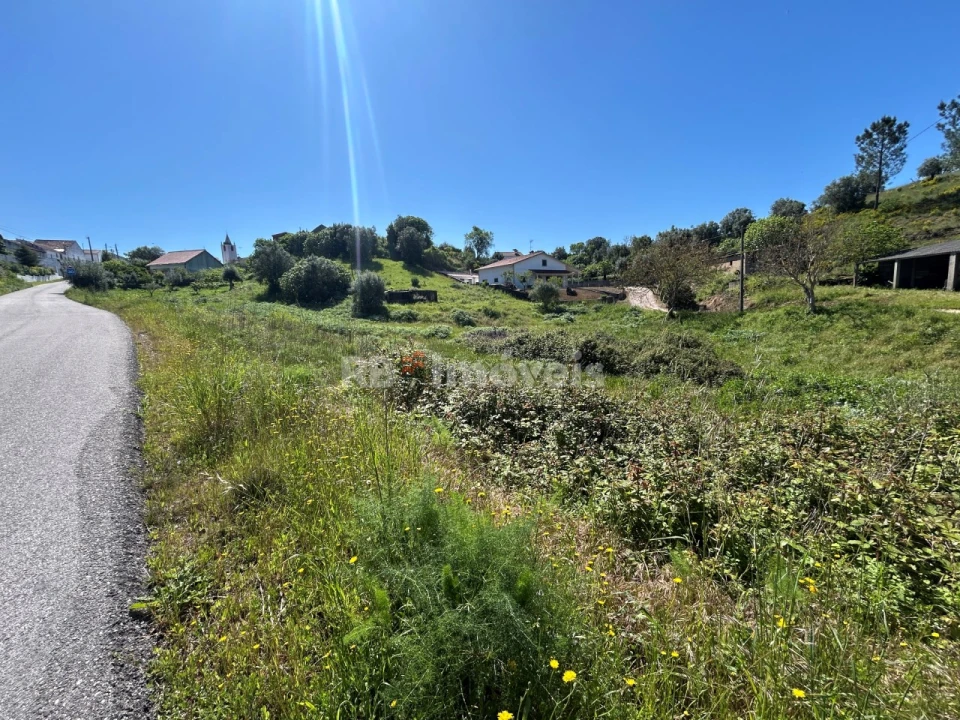 Terreno para Venda em Madalena e Beselga Foto 19