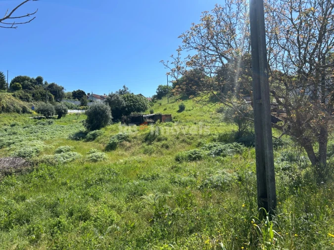 Terreno para Venda em Madalena e Beselga Foto 7