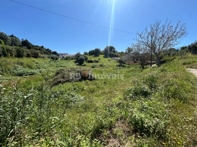 Terreno para Venda em Madalena e Beselga Foto 11