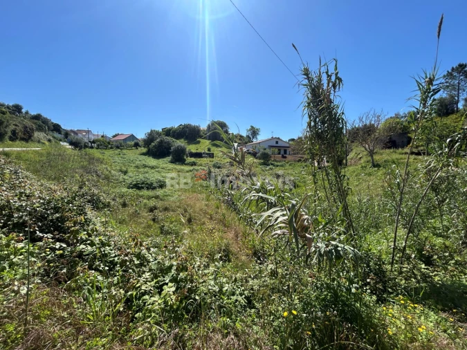 Terreno para Venda em Madalena e Beselga Foto 12