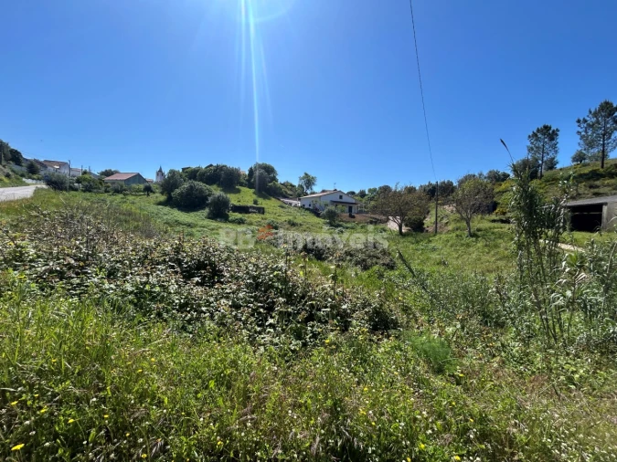 Terreno para Venda em Madalena e Beselga Foto 13