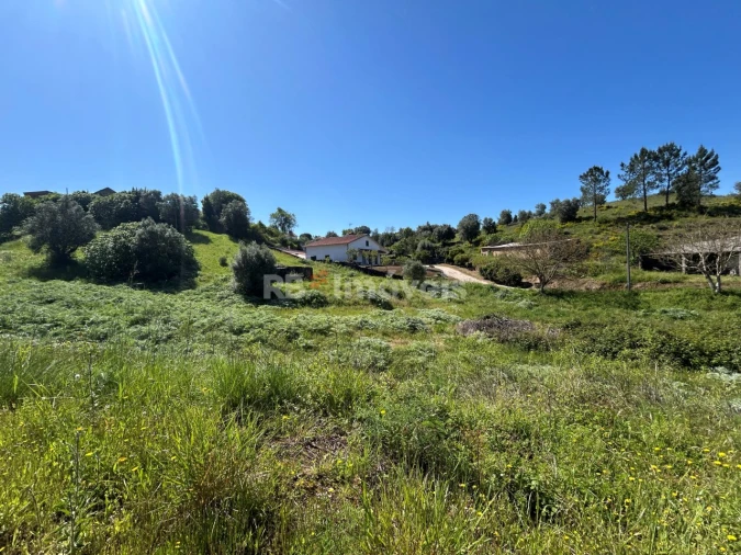 Terreno para Venda em Madalena e Beselga Foto 15