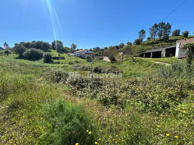 Terreno para Venda em Madalena e Beselga Foto 20