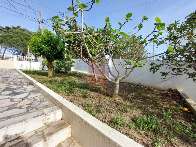 Prédio para Venda em Nossa Senhora do Pópulo, Coto e São Gregório Foto 44