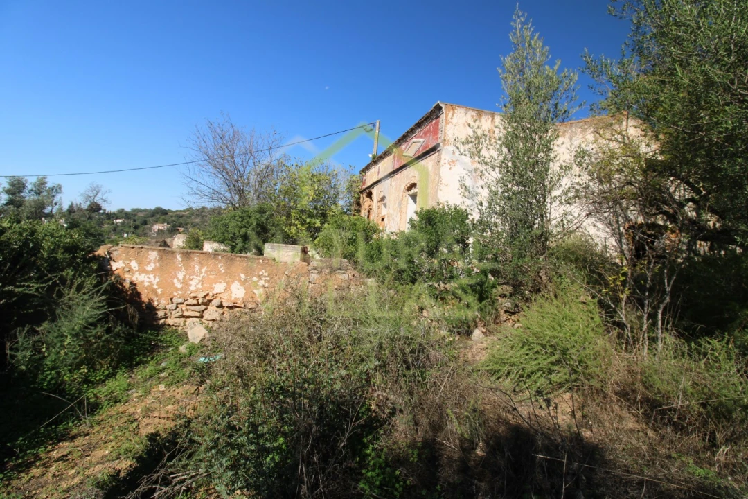Terreno Misto para Venda em Loule (São Sebastião) Foto 2