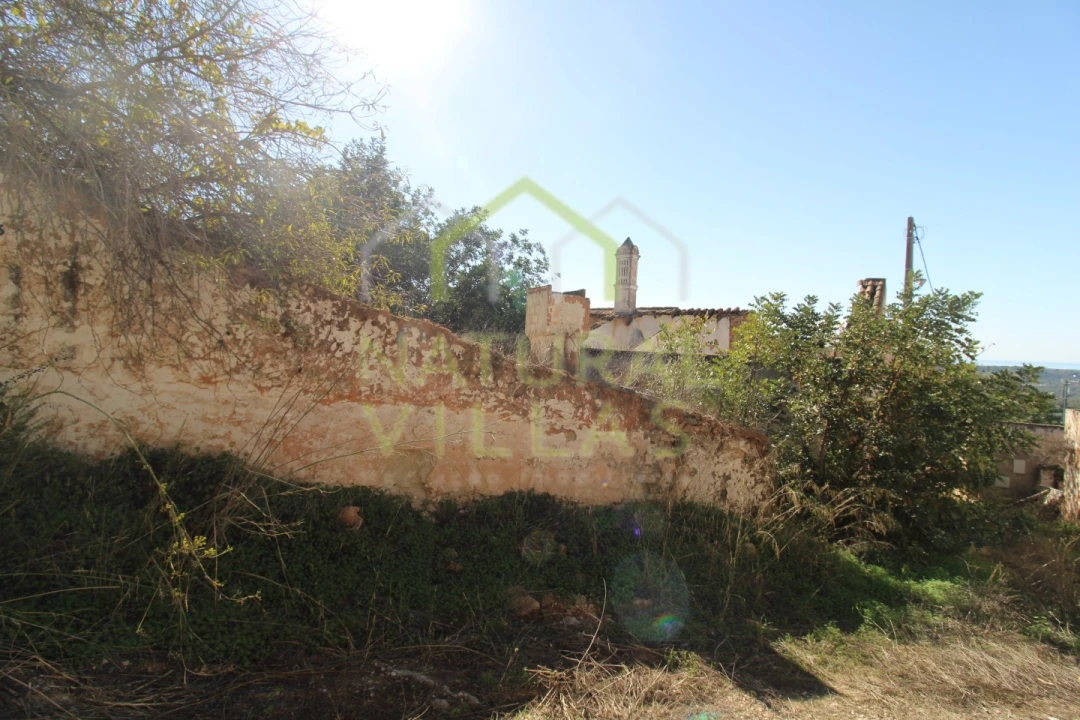 Terreno Misto para Venda em Loule (São Sebastião) Foto 4