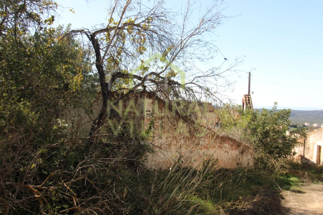 Terreno Misto para Venda em Loule (São Sebastião) Foto 5