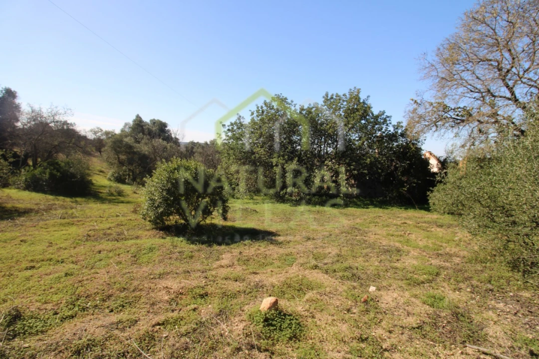Terreno Misto para Venda em Loule (São Sebastião) Foto 9