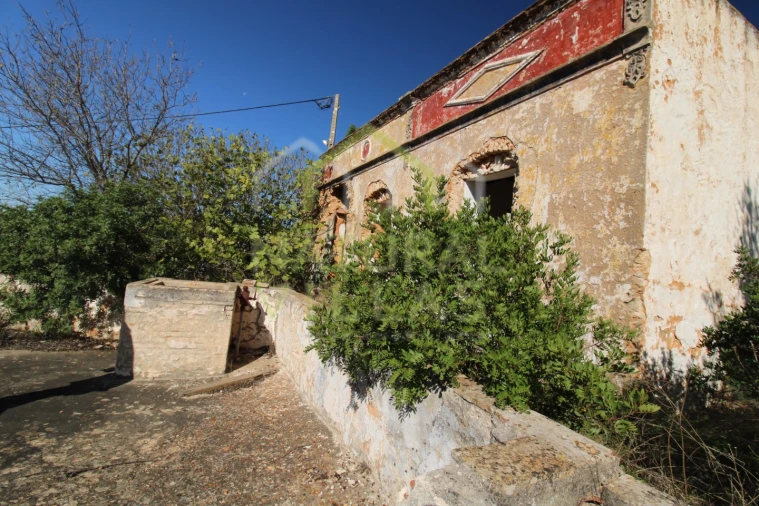 Terreno Misto para Venda em Loule (São Sebastião) Foto 1