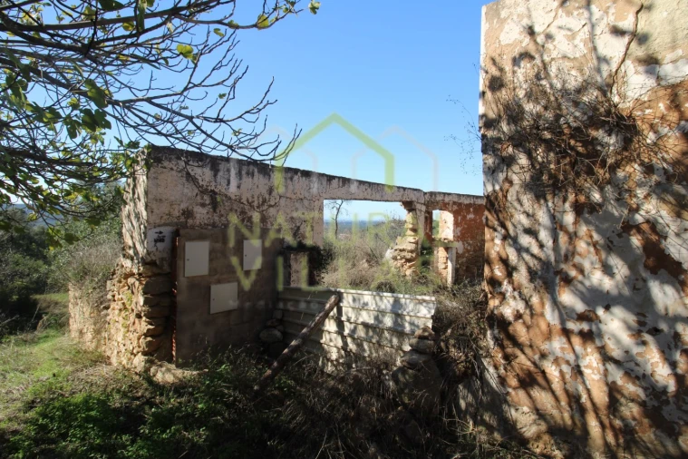 Terreno Misto para Venda em Loule (São Sebastião) Foto 3