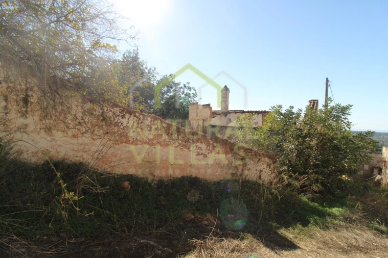 Terreno Misto para Venda em Loule (São Sebastião) Foto 4