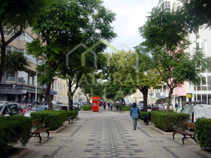 Terreno Misto para Venda em Loule (São Sebastião) Foto 12