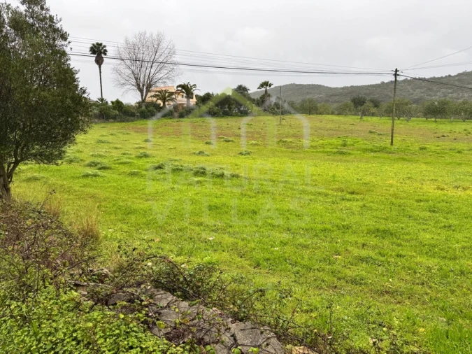 Terreno Agricola ou Rústico para Venda em Santa Barbara de Nexe Foto 1