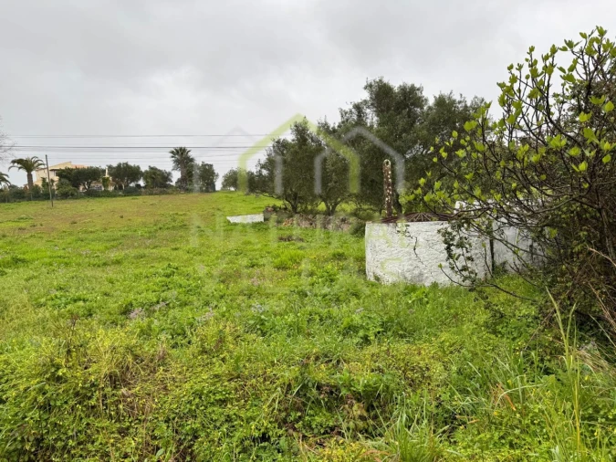 Terreno Agricola ou Rústico para Venda em Santa Barbara de Nexe Foto 2