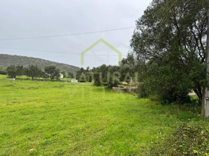 Terreno Agricola ou Rústico para Venda em Santa Barbara de Nexe Foto 4